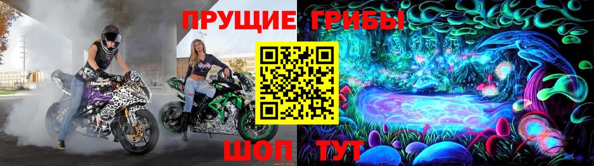 Галлюциногенные грибы Psilocybe Зеленокумск