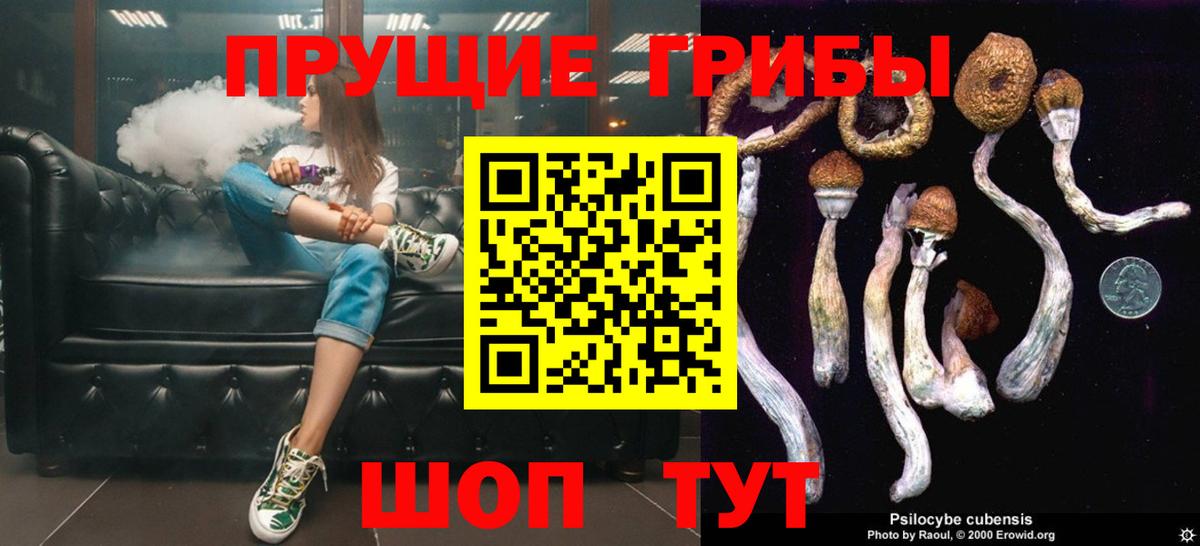 Галлюциногенные грибы ЛСД  Псилоцибиновые грибы мухоморы  где продают наркотики  Вход с VPN  Зеленокумск 